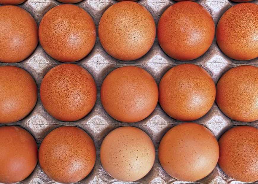 Ви зараз переглядаєте Україна за 10 місяців експортувала майже 109 тис. тонн яєць