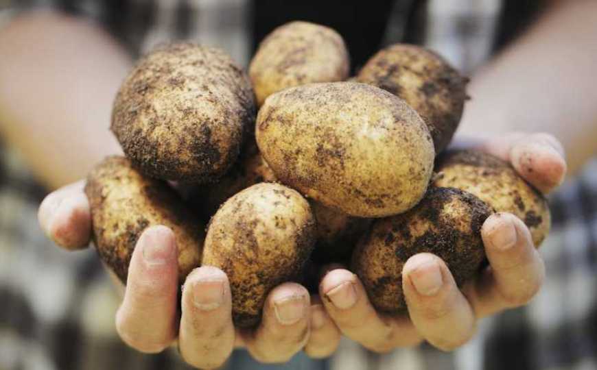 Ви зараз переглядаєте Ціни на картоплю в Україні за рік знизили майже на 60%