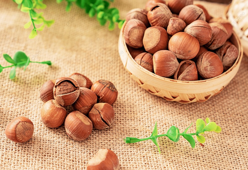 Ви зараз переглядаєте У Європі зібрали найгірший урожай фундука за останні роки