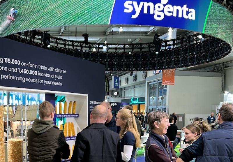 Syngenta 12 11 25 3
