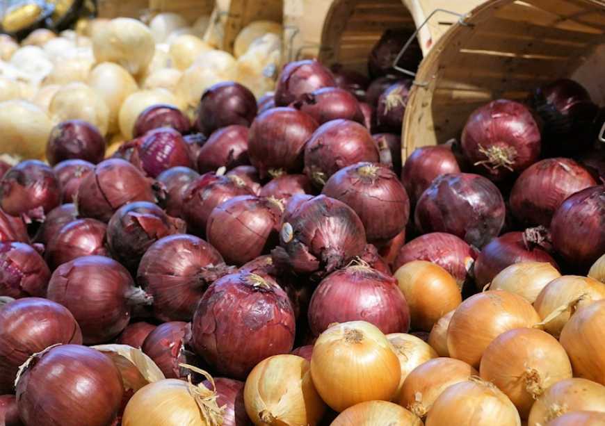 Ви зараз переглядаєте Ціни на цибулю в Україні знову знижуються