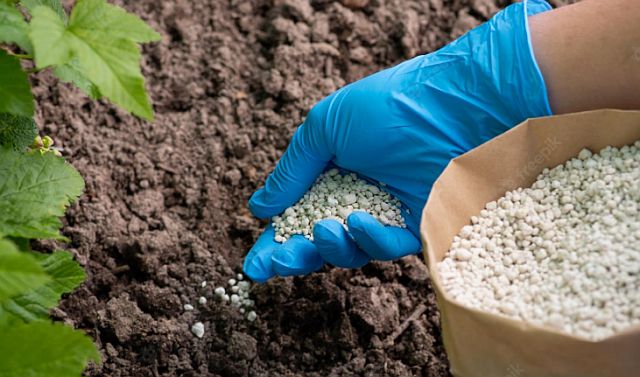 Ви зараз переглядаєте OSTCHEM оновив ціни на добрива