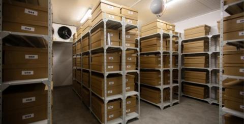 Ви зараз переглядаєте В Україні відкрили Дублетний центр генетичних ресурсів рослин