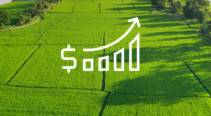 Ви зараз переглядаєте Стали відомі середні показники вартості оренди одного гектара сільгоспземель