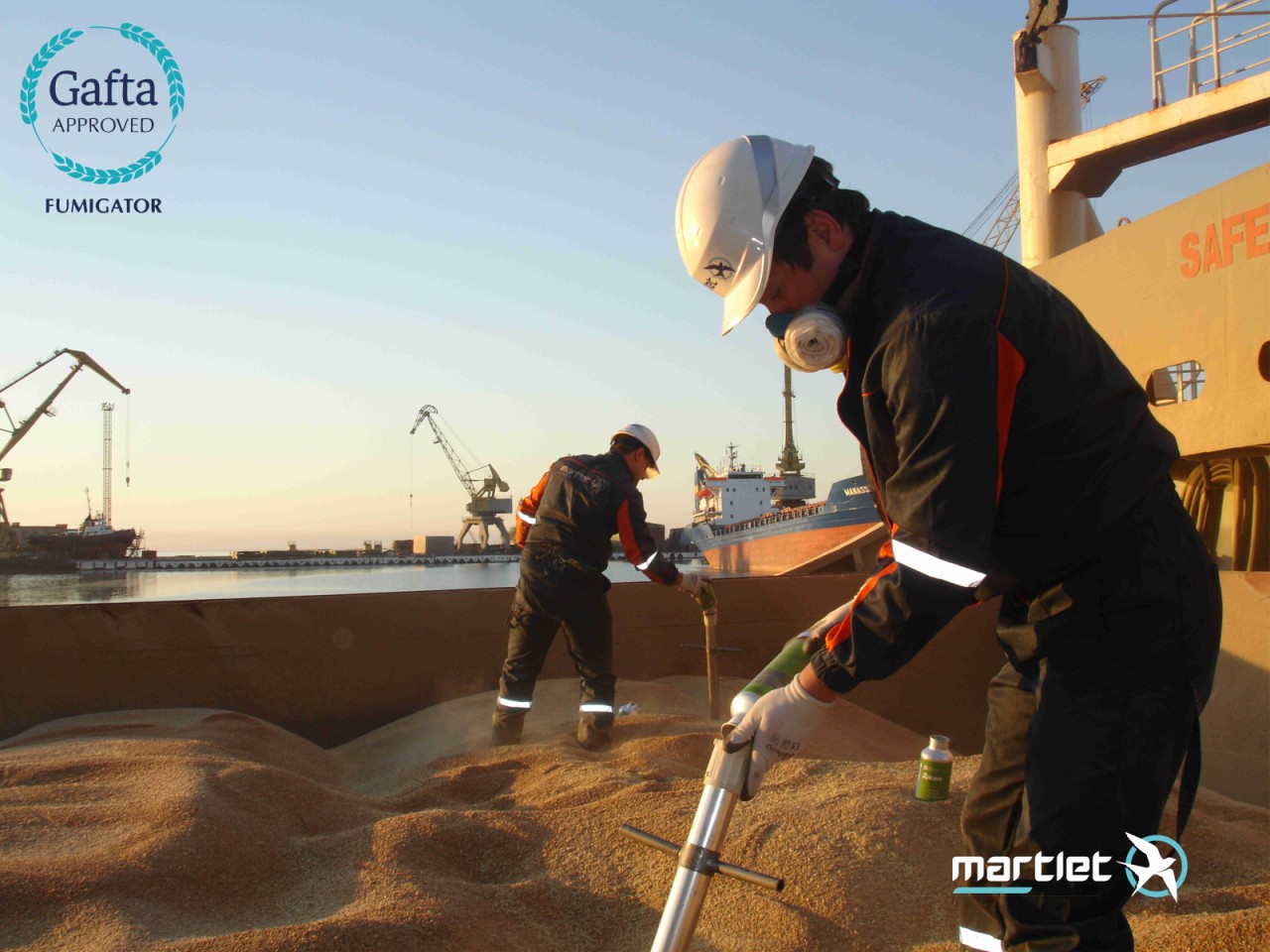 ТОВ «МАРТЛЕТ»: українська компанія з міжнародною підтримкою, що розвиває ринок зернових і олійних культур1