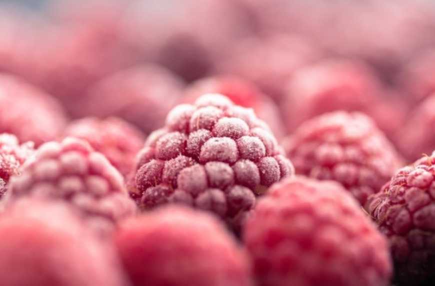 Ви зараз переглядаєте Другий рік поспіль Україна стане найбільшим експортером малини в Європі
