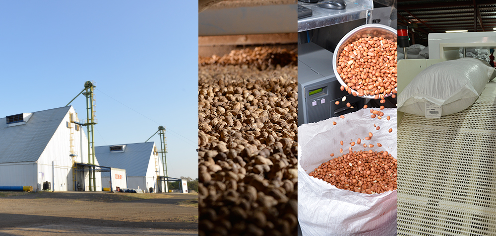 Ви зараз переглядаєте Українські аграрії переходять від сировинного експорту до виробництва продукції з доданою вартістю