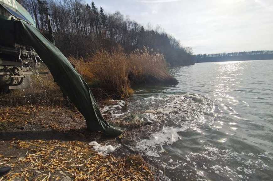 Ви зараз переглядаєте Понад 200 тис. рибин вселено у водойми Хмельниччини та Донеччини