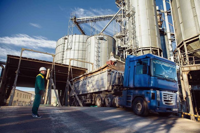 Ви зараз переглядаєте ТОВ «МАРТЛЕТ»: українська компанія з міжнародною підтримкою, що розвиває ринок зернових і олійних культур