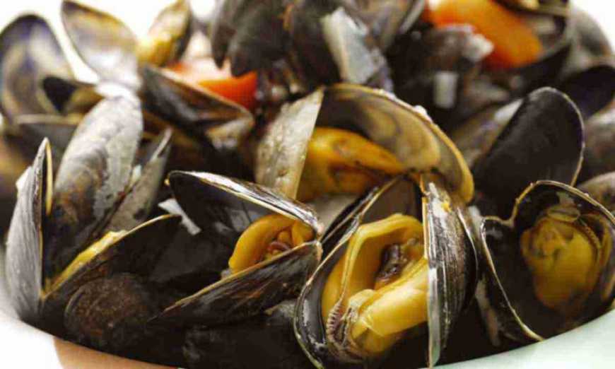 Ви зараз переглядаєте Каховська ГЕС: через катастрофу біля Одеського узбережжя загинуло понад 50% мідій