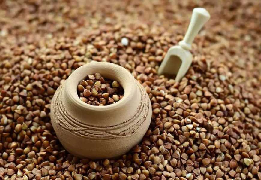 Ви зараз переглядаєте Споживання гречки в Україні нині критично низьке – експерт