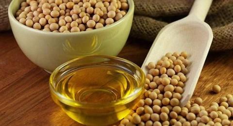 Ви зараз переглядаєте Зростання цін на сою в Україні: що стоїть за тенденцією