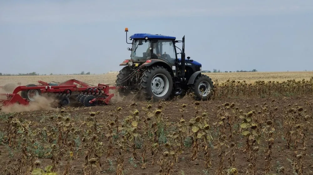 Ви зараз переглядаєте На Миколаївщині через заморозки та посуху загинули 100 тис га посівів