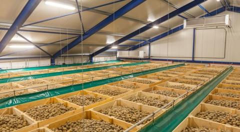 Ви зараз переглядаєте Ситуація з овочесховищами в Україні наступного року має покращитися