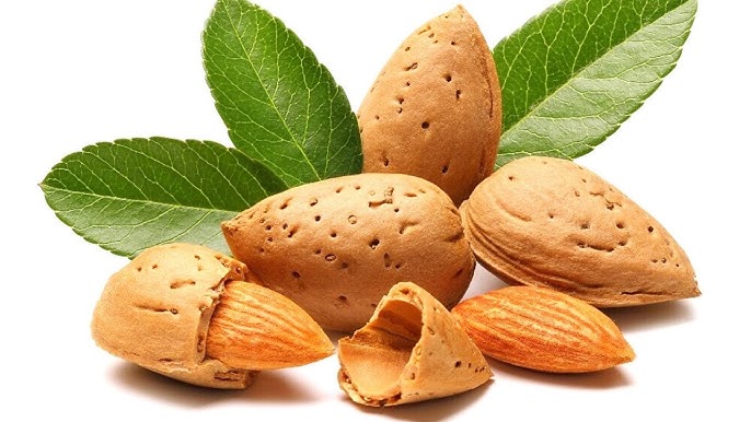 Ви зараз переглядаєте Сім областей України можуть отримати гранти на створення мигдалевих садів