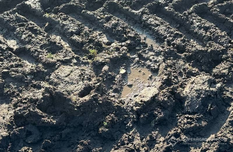 Ви зараз переглядаєте 70 мм опадів випало на Херсонщині, такого вологозабезпечення не було дуже давно