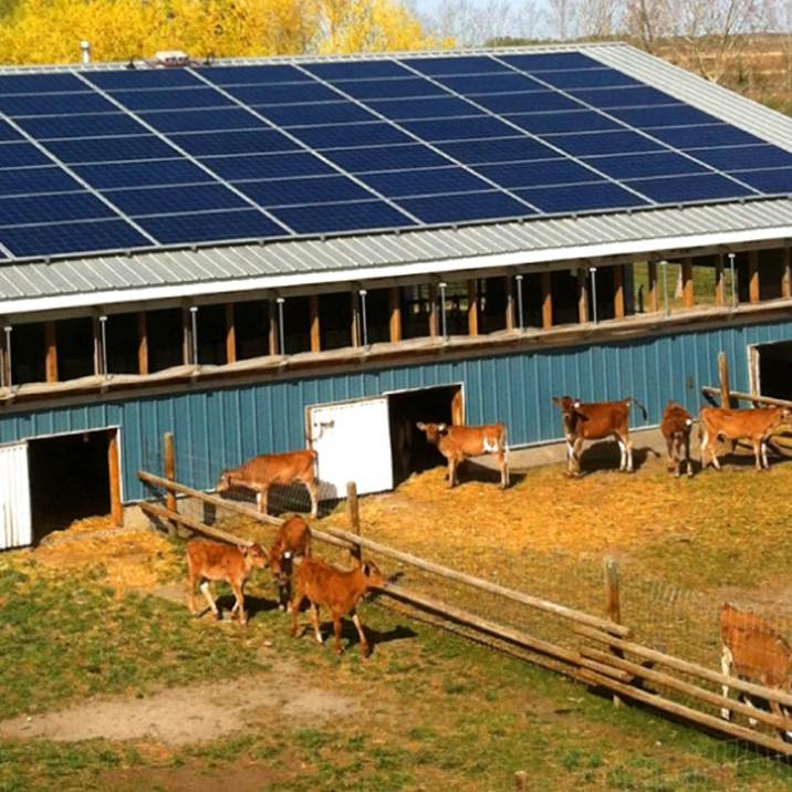 Чому агробізнесу варто інвестувати в сонячні електростанції у 2026 році1