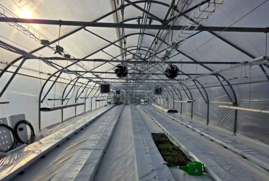 Ви зараз переглядаєте В Україні вирощуватимуть овочі та дині за японською технологією