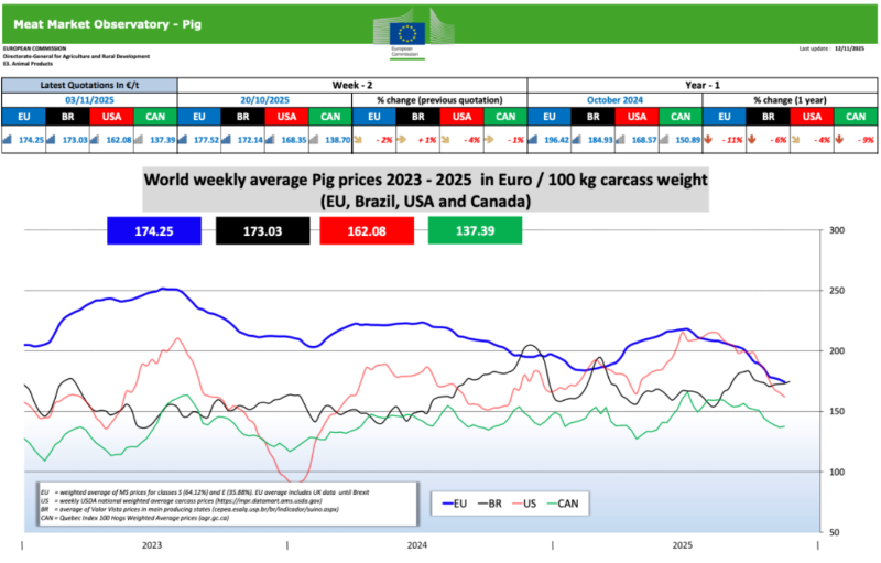 nov 14 11 2025 svini