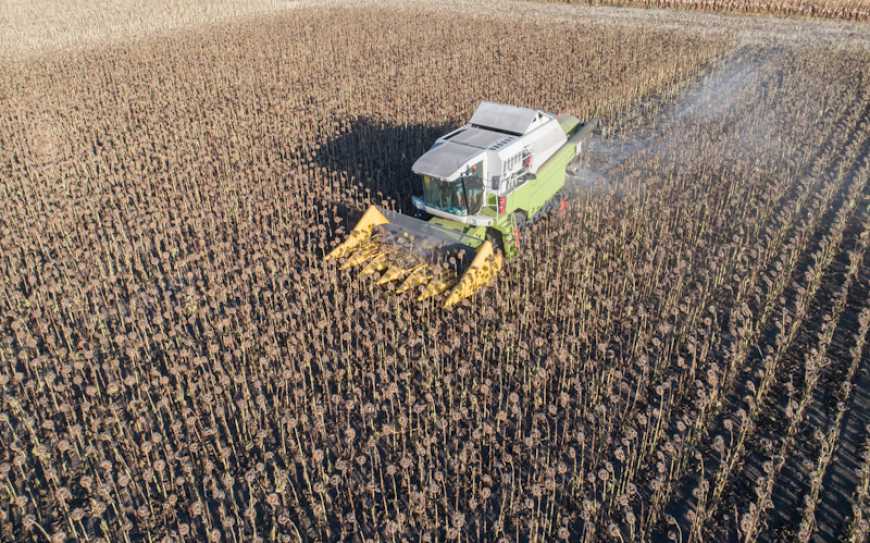 Ви зараз переглядаєте Жнива-2025: в Україні вже зібрано 43,6 млн тонн зерна