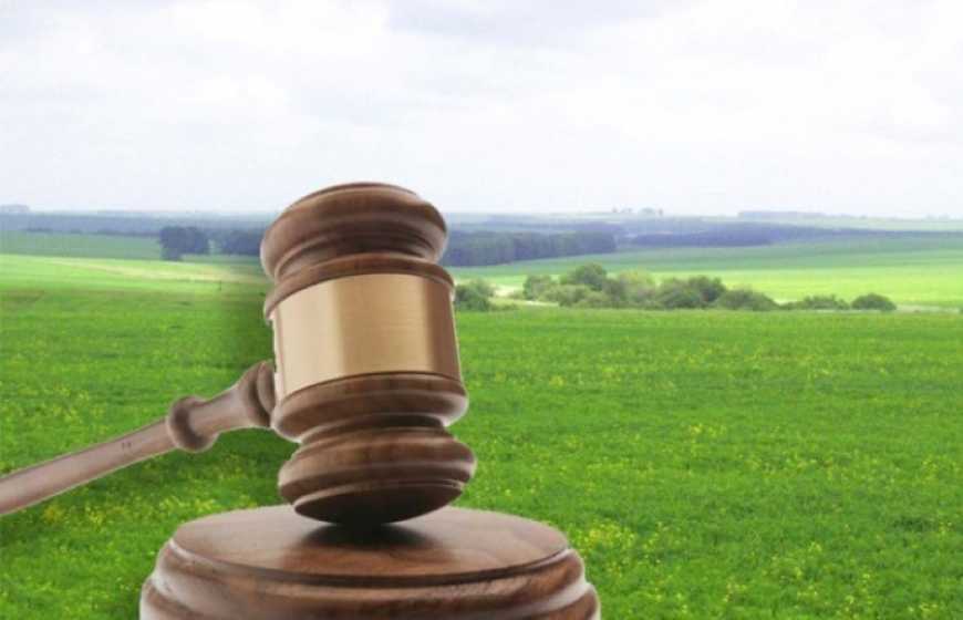 Ви зараз переглядаєте «Земельний банк»: через Prozorro за чотири роки уклали земельні угоди на майже 8 млрд грн