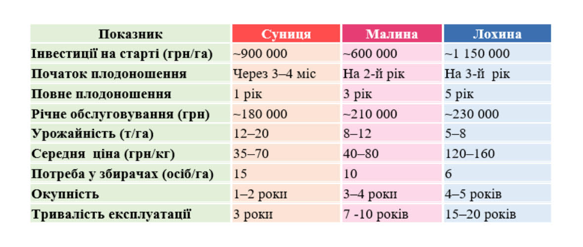 Названо ягоди, що приносять найбільший прибуток і найкраще підходять для дрібного бізнесу1