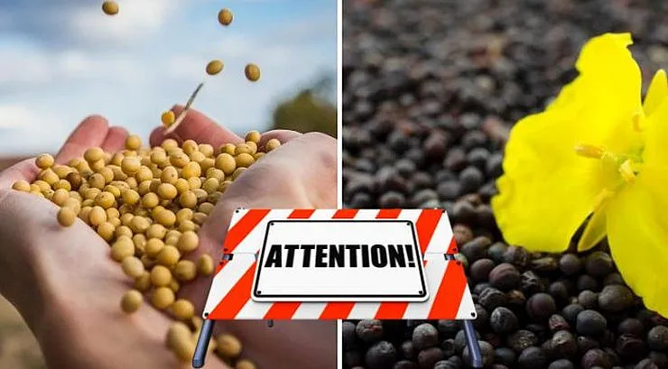 Ви зараз переглядаєте Митниця пояснила порядок сплати та звільнення від експортного мита на сою і ріпак