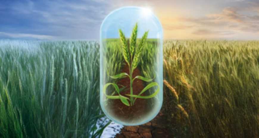 Ви зараз переглядаєте Corteva допоможе українським фермерам адаптуватися до кліматичних викликів з новим продуктом Біофордж®