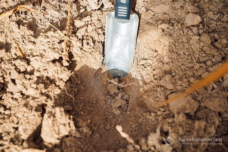 Ви зараз переглядаєте Безкоштовно дослідити ґрунти отримають можливість аграрії Харківщини та Миколаївщини: деталі