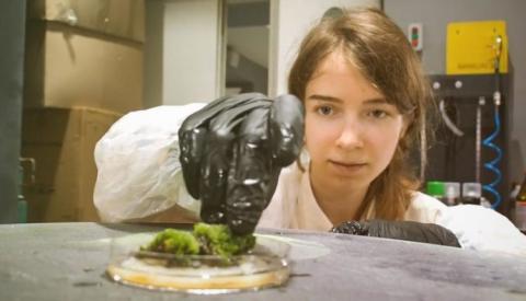 Ви зараз переглядаєте Вчені знайшли рослину, яка може тривалий час виживати у відкритому космосі