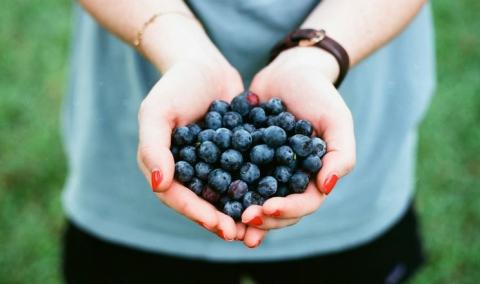Ви зараз переглядаєте Жінок безкоштовно навчатимуть в ягідному, горіховому та інших напрямках агробізнесу
