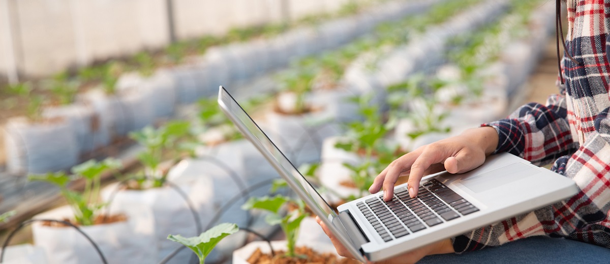 Ви зараз переглядаєте В Україні пропонують внести зміни до Розрахунку частки сільгосптоваровиробництва