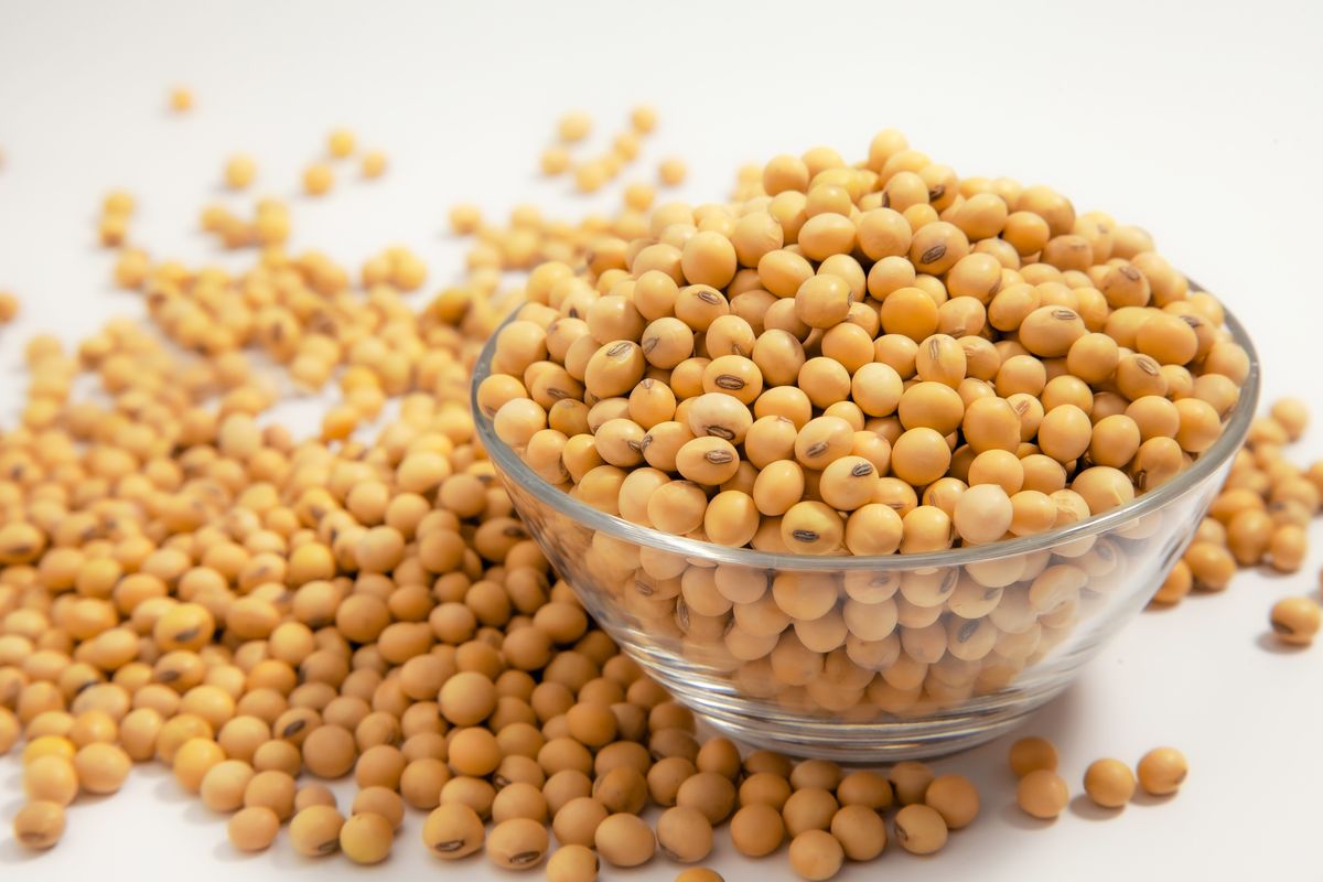 Ви зараз переглядаєте Вартість соєвих бобів в українських портах зросла 