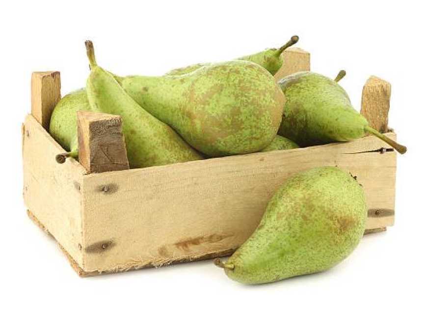 Ви зараз переглядаєте Українська компанія вперше експортувала грушу на Близький Схід