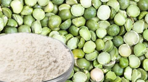 Ви зараз переглядаєте ТЕРРА перероблятиме горох на протеїн і крохмаль