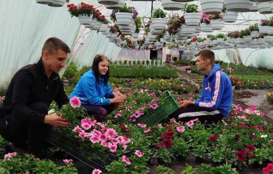 Ви зараз переглядаєте На Поділлі фермер щосезону вирощує 100 тисяч квітів і дає роботу переселенцям