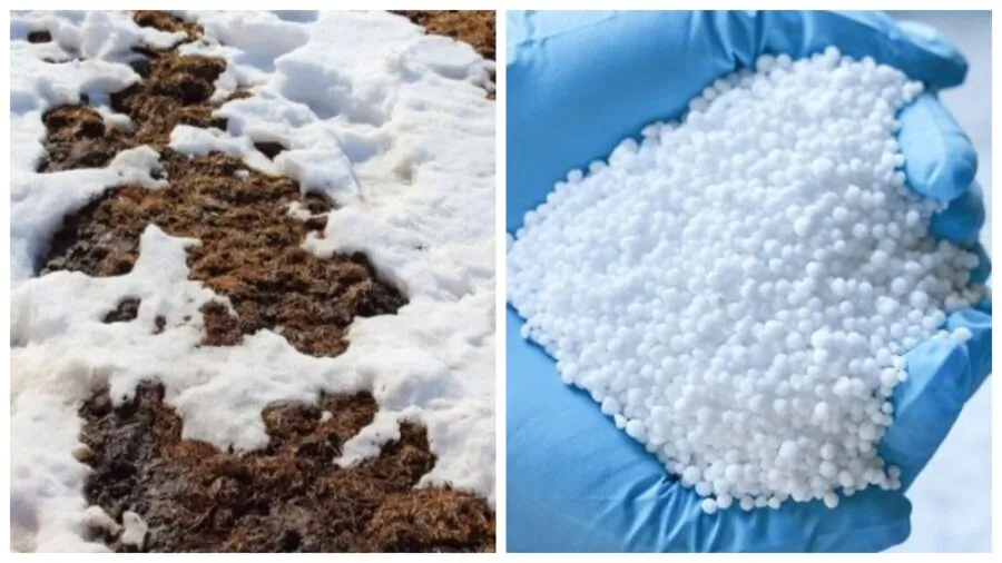 Ви зараз переглядаєте Які добрива можна вносити взимку