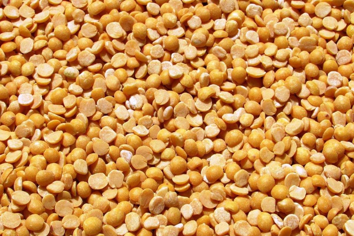 Ви зараз переглядаєте Компанія Yofi відновила виробництво хумусу через два місяці після російського удару по її заводу