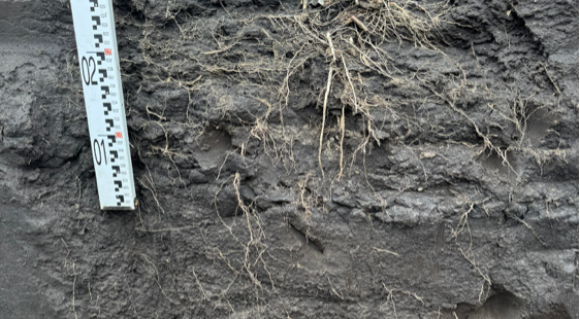 Дискування