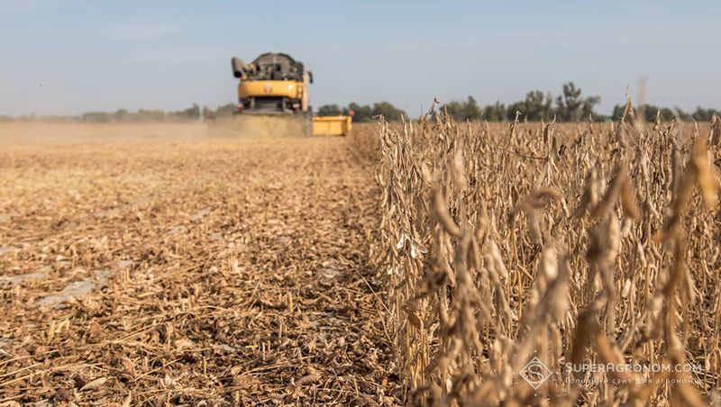 Ви зараз переглядаєте Площі під соєю на Буковині у 2025-му менші минулорічних, натомість урожайність вища – 2,63 т/га