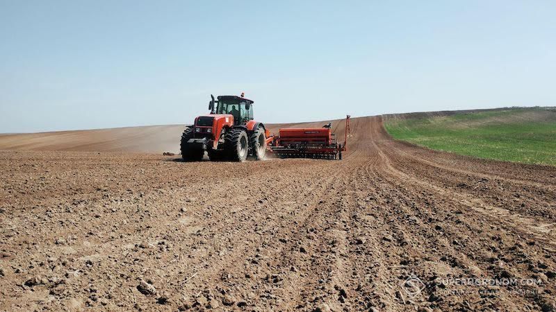 Ви зараз переглядаєте Посівна 2025 озимих культур: сівбу ріпаку практично завершено, зернові засіяно на 89,33% площ