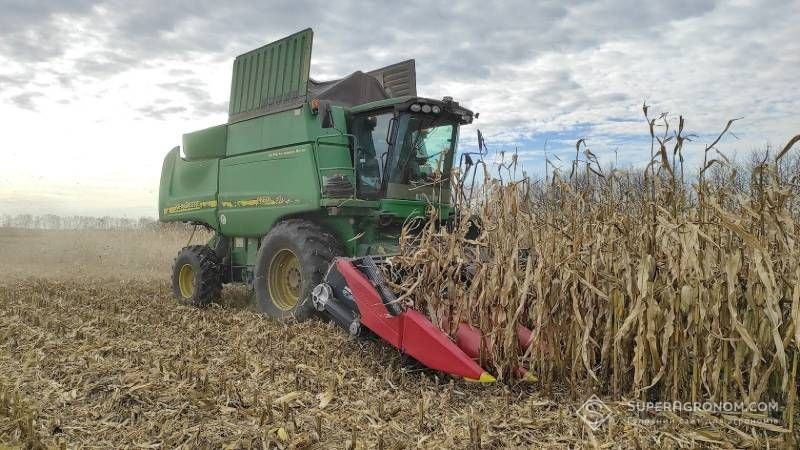 Ви зараз переглядаєте Повільне збирання врожаю кукурудзи в Україні впливає на ціну культури на ринку ЄС