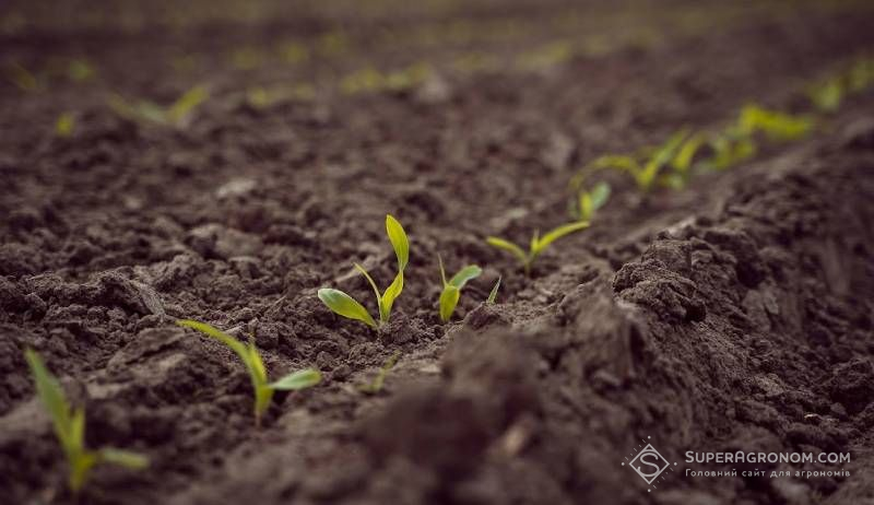 Ви зараз переглядаєте Представлено каталог продуктів DEFENDA на 2026 рік та два нові препарати бренду