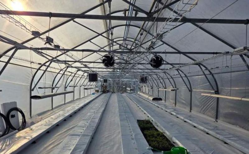 Ви зараз переглядаєте Проєкт з вирощування овочів на полімерній мембрані замість ґрунту за технологією Imec® стартував в Україні