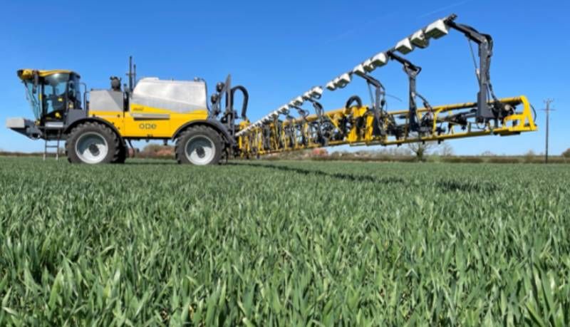 Ви зараз переглядаєте ШІ навчили розпізнавати бур’ян чорну траву серед культурних рослин