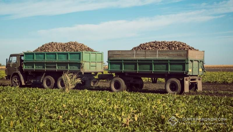 Ви зараз переглядаєте Урожайність кукурудзи та цукрових буряків на Вінниччині вища минулорічної