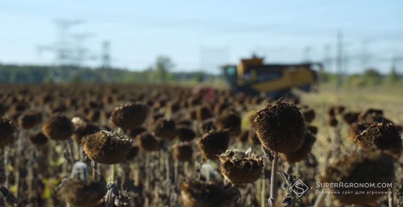 Ви зараз переглядаєте УTG Agro на Київщині отримали врожайність соняшнику 2,6 т/га з олійністю 51%