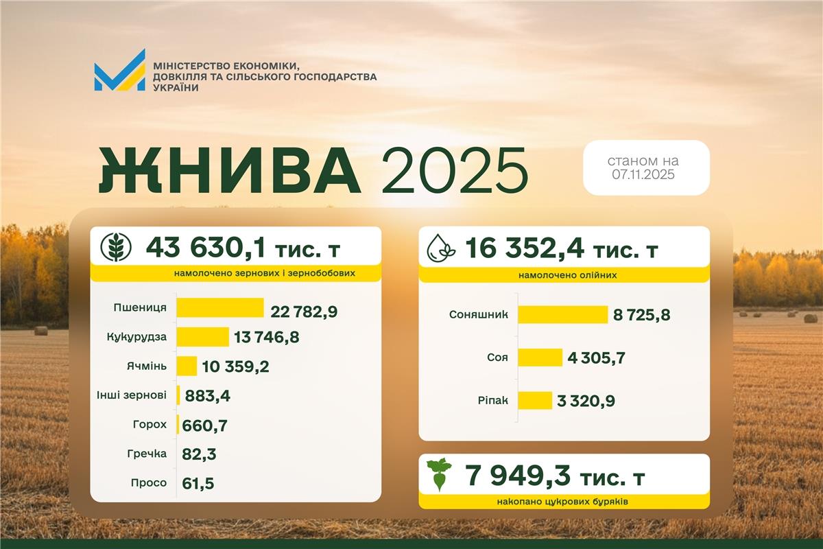 Ви зараз переглядаєте В Україні намолочено понад 43,6 млн тонн зернових: завершено 81% жнив