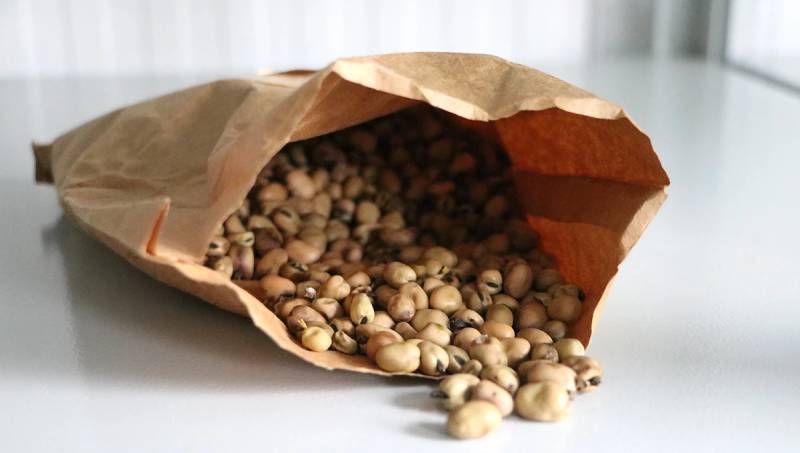 Ви зараз переглядаєте В Україні створений дублетний центр генетичних ресурсів рослин за підтримки ФАО