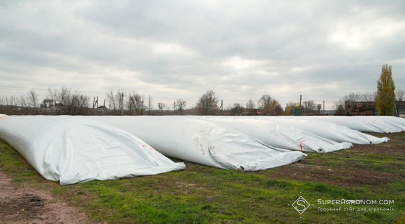 Ви зараз переглядаєте Зберігання зерна в полімерних рукавах — особливості використання в органічному господарстві на Кіровоградщині